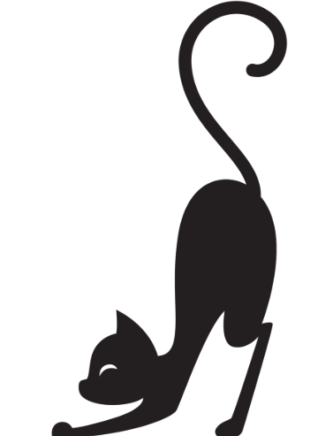 cat stretching
